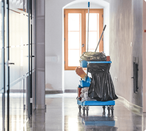 A cleaning cart with supplies in a bright hallway, near a window with sunlight streaming in.